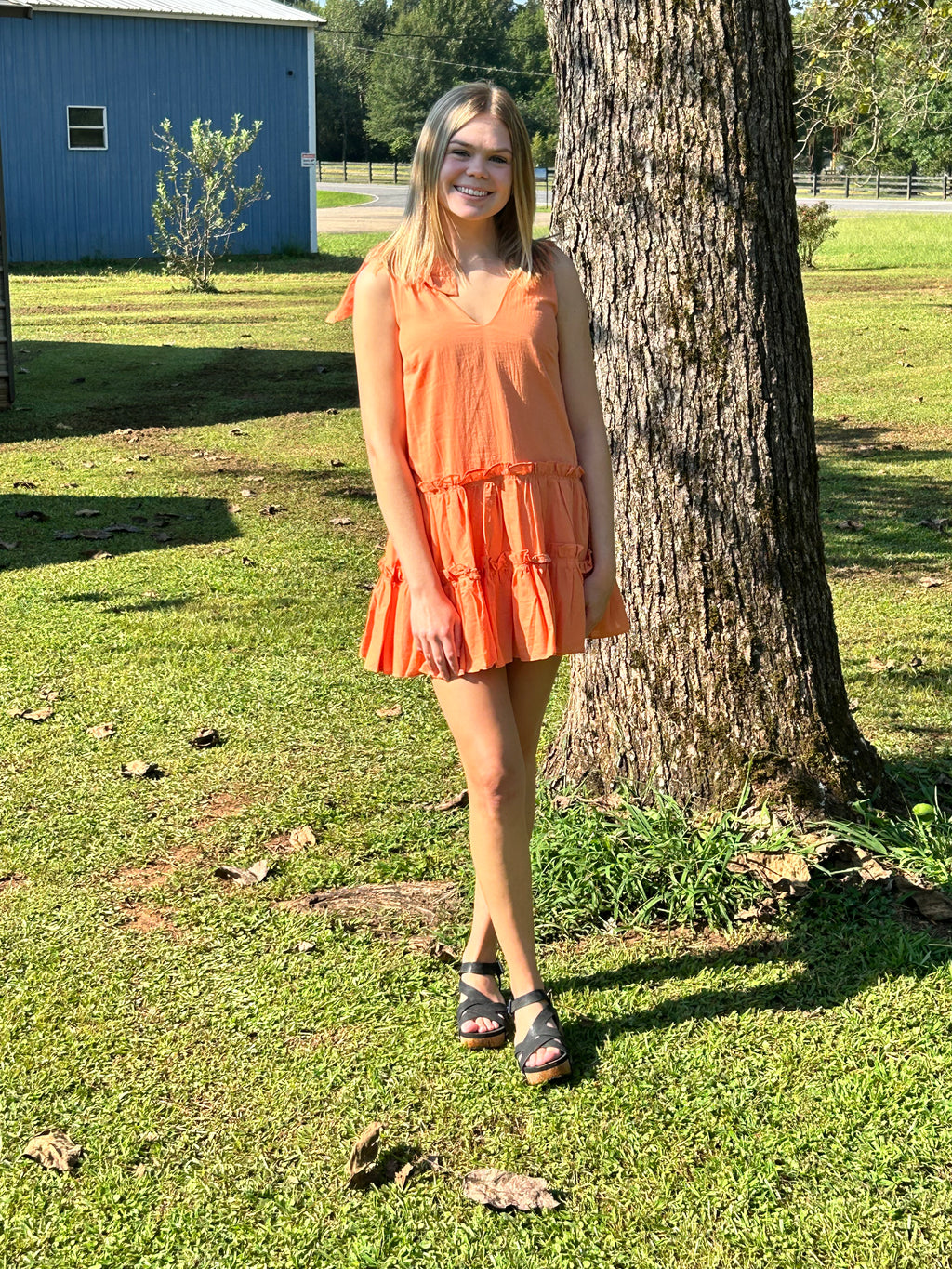 Ruffles Flare Mini Dress – Lori's Curvy Closet