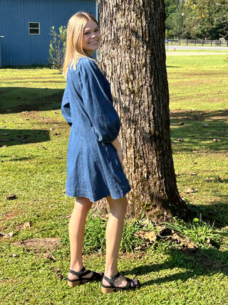 My Favorite Denim Dress